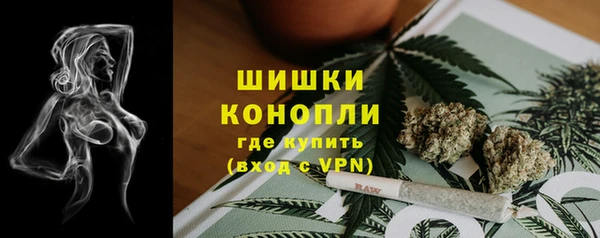амф Новокубанск