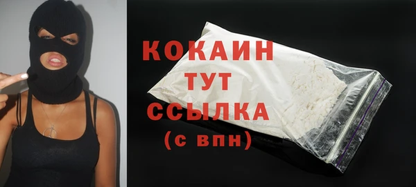 прущие крисы Новозыбков