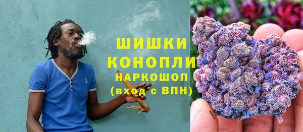 амф Новокубанск
