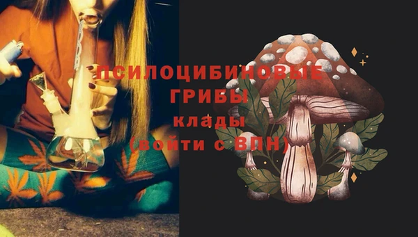 apvp Нефтекумск