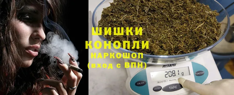 mega ссылка  как найти наркотики  Тайга  Бошки Шишки ГИДРОПОН 