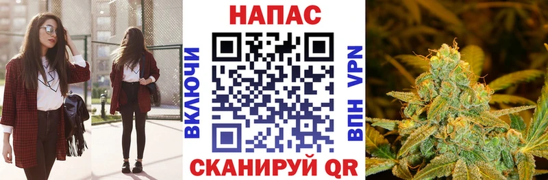 Канабис MAZAR  Тайга 